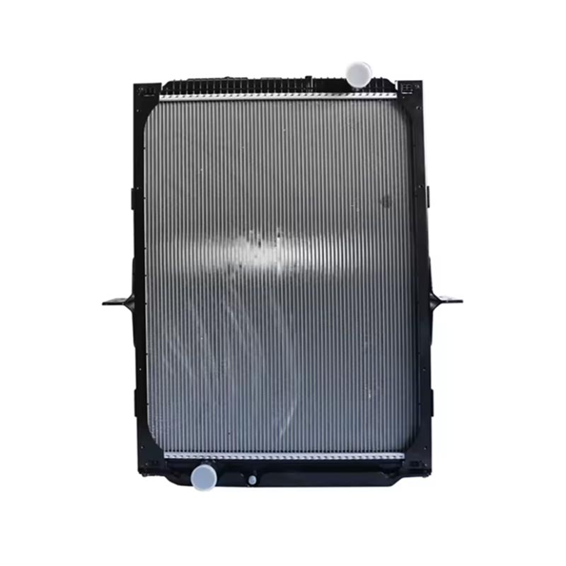 Motortilbehør radiator DZ91125328